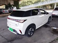 2023 BYD Dolphin 420km Freedom — фото 7