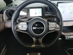 2023 BYD Dolphin 420km Freedom — фото 11