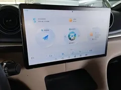 2023 BYD Dolphin 420km Freedom — фото 13