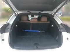 2025 Li Auto i6 2WD Standard, белый — фото 10