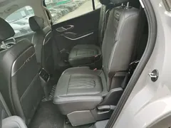 2024 Hongqi HS7 2.0T PHEV 4WD 6 — фото 17