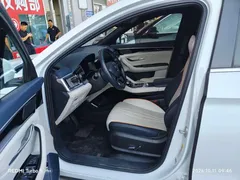 2021 BYD Song PLUS DM-i PHEV 110km Flagship, белый — фото 6