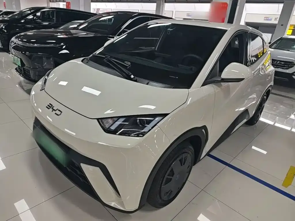 2024 BYD Seagull Honor 305km Vitality