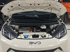 2024 BYD Seagull Honor 305km Vitality, белый — фото 20