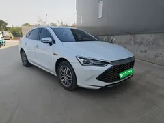 2023 BYD Qin PLUS Champion DM-i PHEV 120km, белый — фото 4
