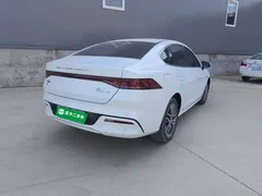 2023 BYD Qin PLUS Champion DM-i PHEV 120km, белый — фото 7