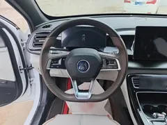 2023 BYD Qin PLUS Champion DM-i PHEV 120km, белый — фото 11