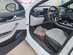 2023 BYD Qin PLUS Champion DM-i PHEV 120km, белый — фото 16