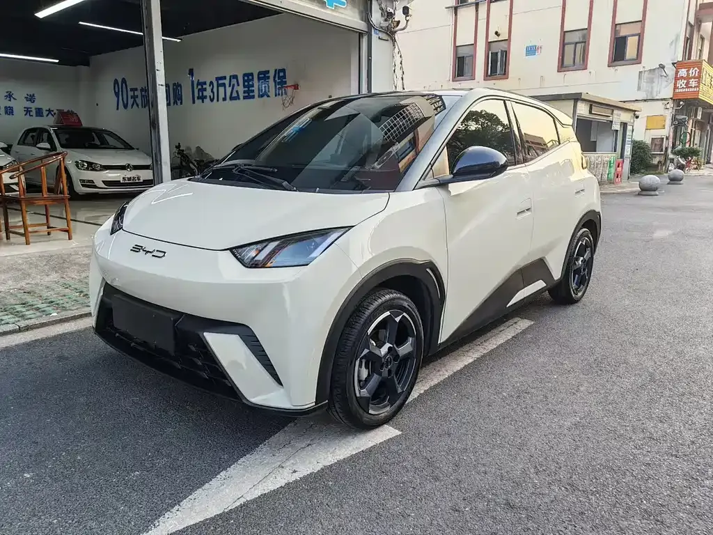 2023 BYD Seagull Freedom