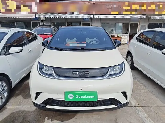 2023 BYD Dolphin 420km Freedom