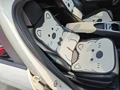 2023 BYD Dolphin 420km Freedom — фото 25