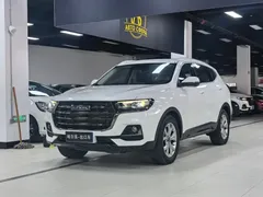 2021 Haval H6 1.5GDIT AT Guochao Champion, белый — фото 1