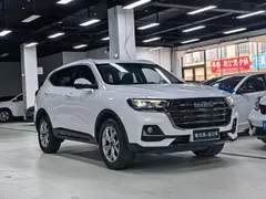 2021 Haval H6 1.5GDIT AT Guochao Champion, белый — фото 3