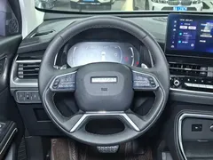 2021 Haval H6 1.5GDIT AT Guochao Champion, белый — фото 13
