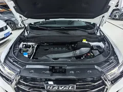 2021 Haval H6 1.5GDIT AT Guochao Champion, белый — фото 21