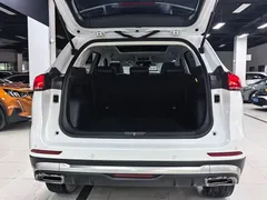 2021 Haval H6 1.5GDIT AT Guochao Champion, белый — фото 22