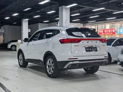 2021 Haval H6 1.5GDIT AT Guochao Champion, белый — фото 24