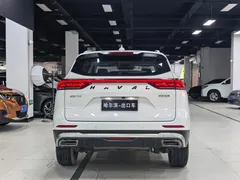 2021 Haval H6 1.5GDIT AT Guochao Champion, белый — фото 25