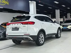2021 Haval H6 1.5GDIT AT Guochao Champion, белый — фото 26