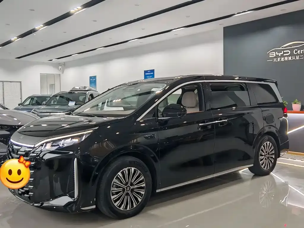 2025 BYD Xia DM-i PHEV 1.5T 180km Excellence
