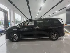 2025 BYD Xia DM-i PHEV 1.5T 180km Excellence, чёрный — фото 10