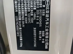 2025 BYD Seal 06 DM-i PHEV 120KM Smart Driving Premium, белый — фото 7