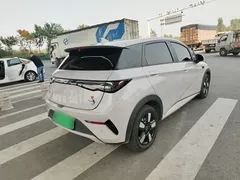 2025 BYD Dolphin Smart Driving 410km Fashion, чёрный — фото 7