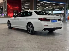2022 BMW 5 Series 530Li Leading Luxury Package, белый — фото 10