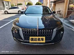 2025 Hongqi H9 2.0T 2WD Qichang Luxury Business 5-seat, чёрный — фото 2