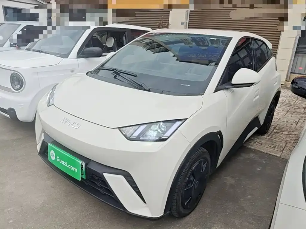 2025 BYD Seagull 305km Vitality