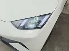 2025 BYD Seagull 305km Vitality, белый — фото 24