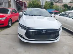 2021 BYD Qin PLUS EV 420km, белый — фото 3