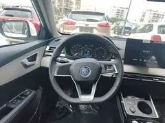 2021 BYD Qin PLUS EV 420km, белый — фото 11
