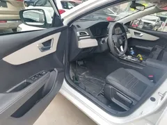 2021 BYD Qin PLUS EV 420km, белый — фото 16