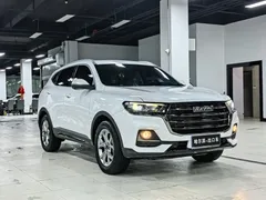2021 Haval H6 1.5GDIT AT Guochao Champion, белый — фото 3