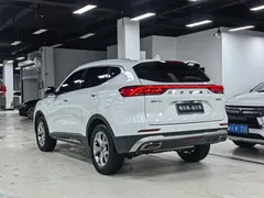2021 Haval H6 1.5GDIT AT Guochao Champion, белый — фото 23