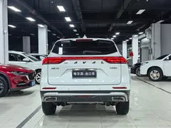 2021 Haval H6 1.5GDIT AT Guochao Champion, белый — фото 24