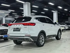 2021 Haval H6 1.5GDIT AT Guochao Champion, белый — фото 25