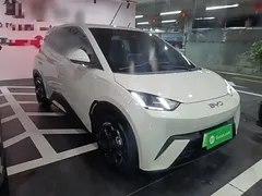 2024 BYD Seagull EV Glory 405km Flying, белый — фото 4