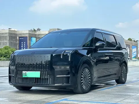 2022 Zeekr 009 WE
