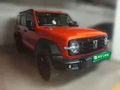 2021 Tank 300 Off-road 2.0T Conqueror — фото 3