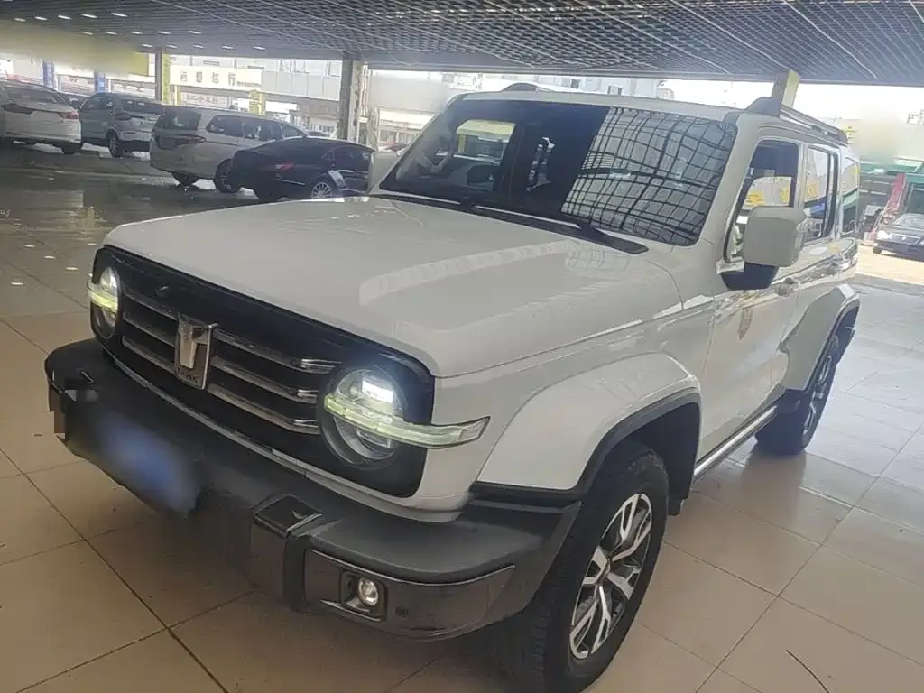 2021 Tank 300 City 2.0T