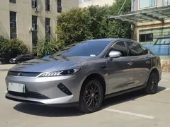 2025 BYD Qin PLUS EV 510km Smart Driving Leading — фото 1