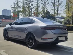 2025 BYD Qin PLUS EV 510km Smart Driving Leading — фото 9