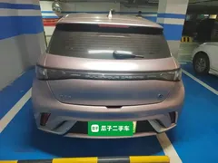 2023 BYD Dolphin 420km Freedom — фото 3