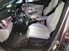 2023 BYD Dolphin 420km Freedom — фото 11
