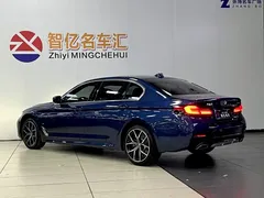2021 BMW 5 Series 530Li Premium M Sport Package, синий — фото 14