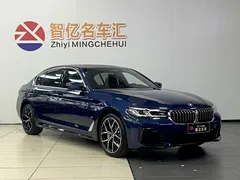 2021 BMW 5 Series 530Li Premium M Sport Package, синий — фото 16