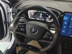 2020 BYD Han EV Long Range Luxury, белый — фото 11