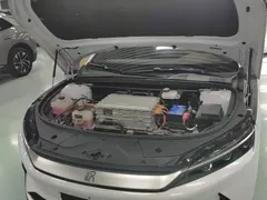 2020 BYD Han EV Long Range Luxury, белый — фото 20